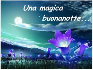 imm buonanotte