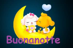 imm di buonanotte