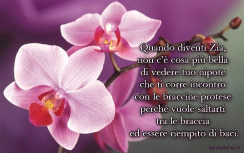 frasi per i nipoti