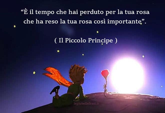 citazioni piccolo principe