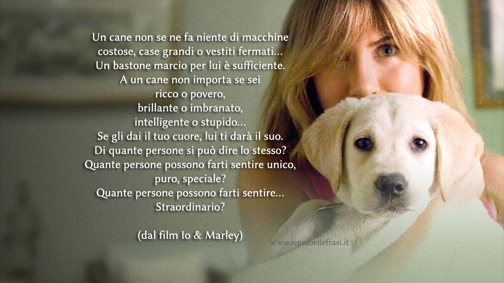 frasi sul cane