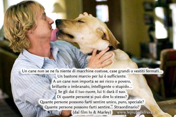 frasi per un cane