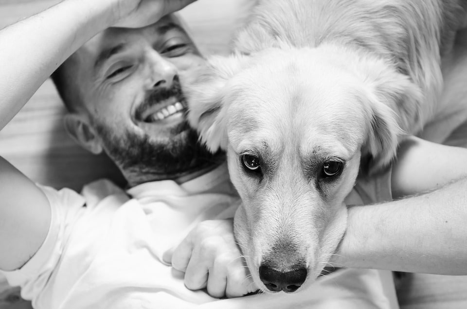 Il Cane Che Ha Visto Dio Riassunto
