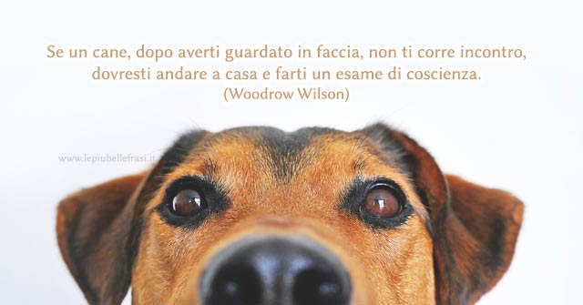 frasi sui cani