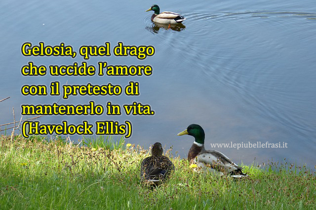 frasi gelosia