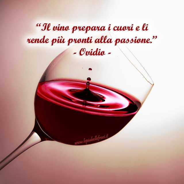 vino frasi